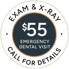 $55 Emergency Dental Visit banner stamp